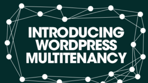 Thumbnail for Introducing WordPress Multitenancy