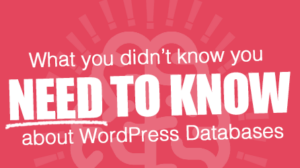 Thumbnail for What you need to know about WordPress databases