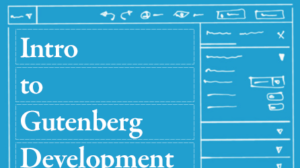 Thumbnail for Intro to Gutenberg Development
