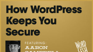 Thumbnail for How WordPress Keeps You Secure