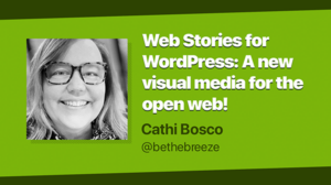 Thumbnail for Web Stories for WordPress: A new visual media for the open web!