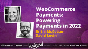 Thumbnail for WooCommerce Payments & WooExperts