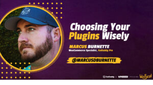 Thumbnail for Choosing Your Plugins Wisely