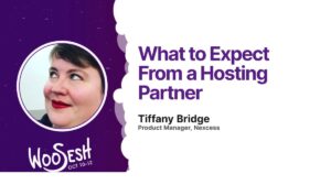 Thumbnail for What to Expect From a Hosting Partner
